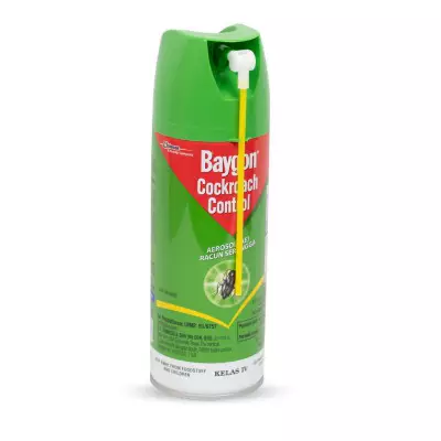 Baygon Cockroach Control Spray 270 mL