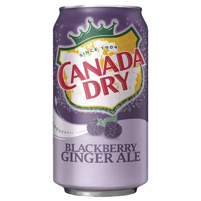 Canada Dry Blackberry Ginger Ale- 355 mL