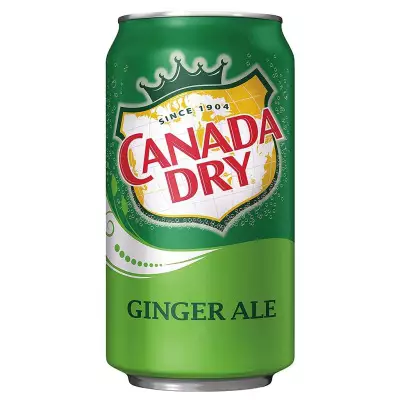 Canada Dry Ginger Ale- 355 mL