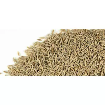 Jeera Spice 1kg